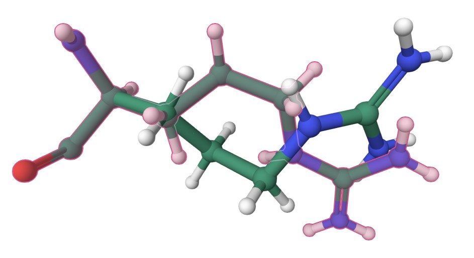 Alternative conformation of Arg63 in 2AXW, visualised in RCSB. Highlighted with pink overlay is the side-chain alternative conformation.