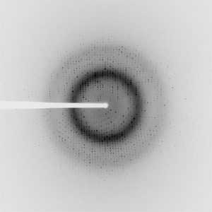 Example of a diffraction data (PDB ID: 4W65).