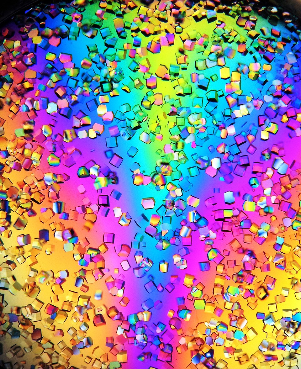 Lysozyme crystals observed through polarizing filter in Nikon SMZ800 microscope.