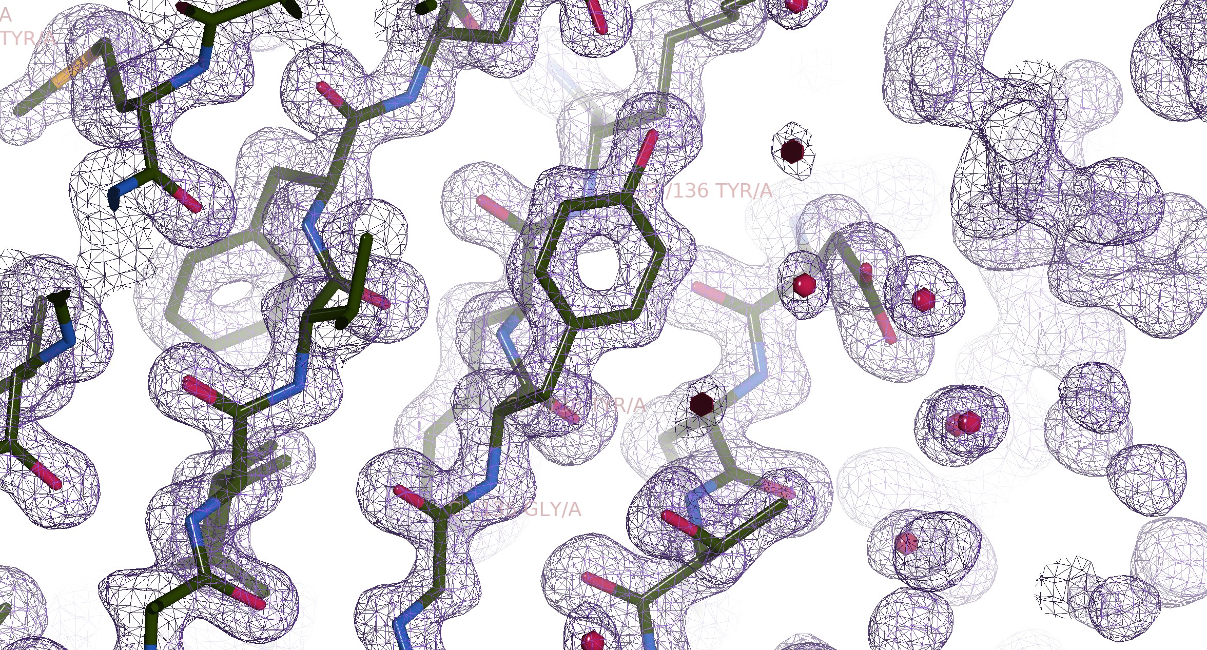 Illustration of the electron density map of 6GLP, visualised with COOT.