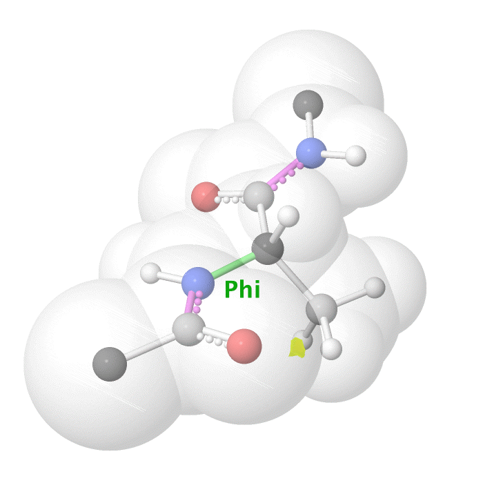 Phi dihedral angle rotation example in protein backbone.