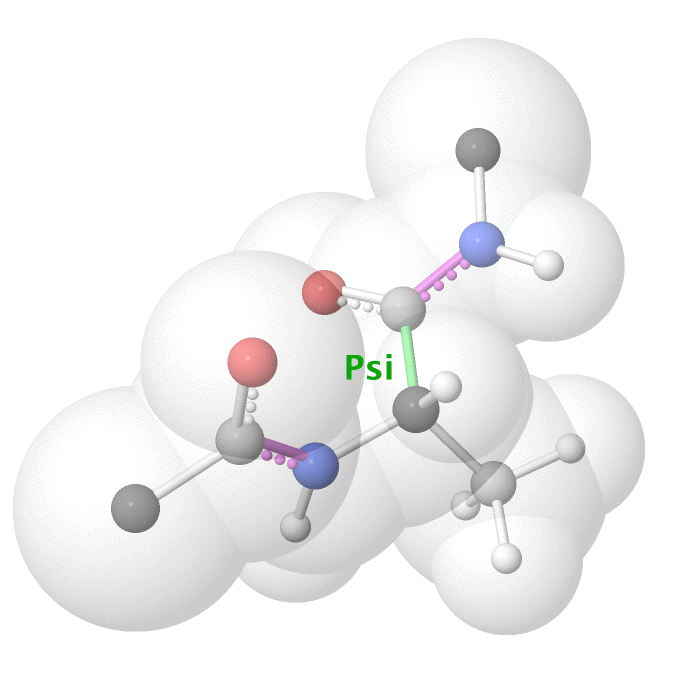 Psi dihedral angle rotation example in protein backbone.